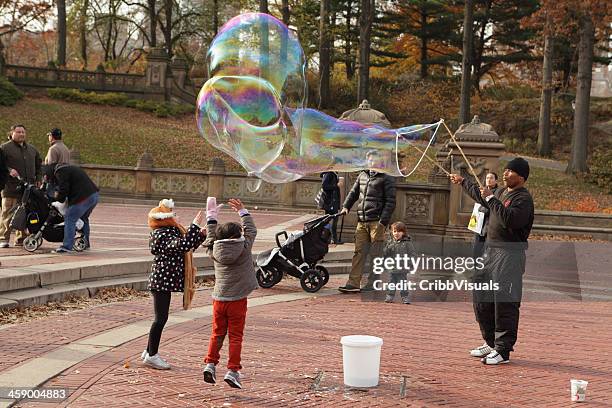 1,794 Bethesda Terrace Central Park Royalty-Free Images, Stock Photos &  Pictures