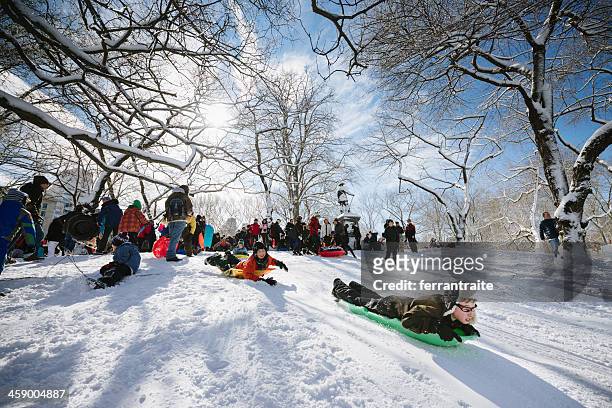 schlittenfahren im central park in new york city - central park winter stock-fotos und bilder