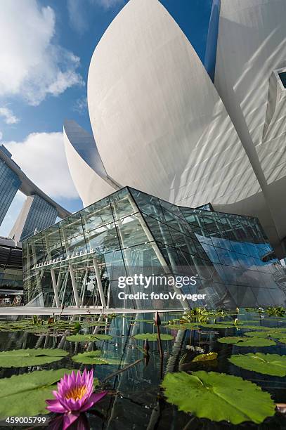 singapore artscience museum lotus flower lily pads - pool marina bay sands hotel singapore stock pictures, royalty-free photos & images