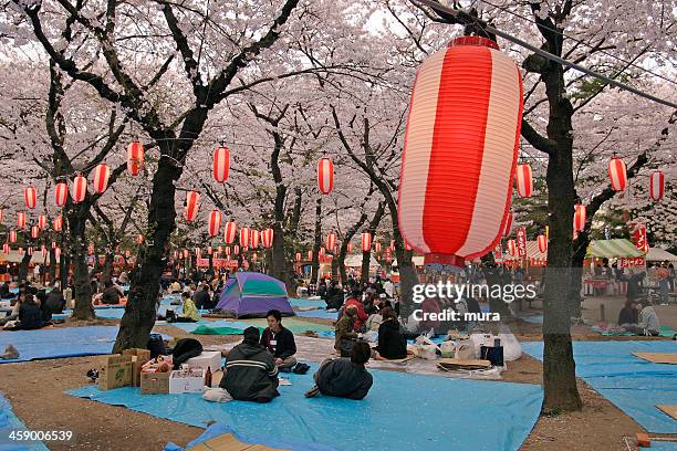 piquenique no festival cherry blossom - hanami imagens e fotografias de stock
