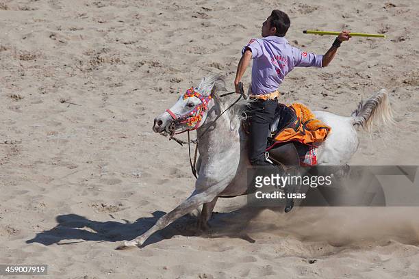 cirit player's man riding white horse - upperdeck view stock pictures, royalty-free photos & images