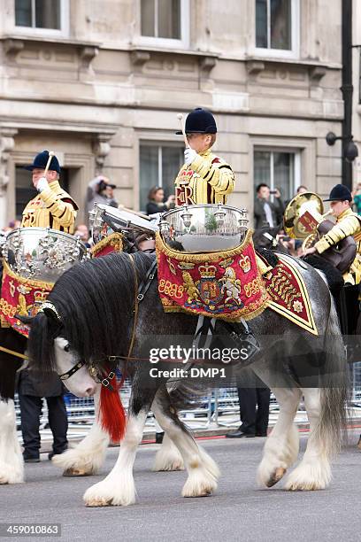 drum horse for the queen's diamond jubilee state procession - shire horse stock pictures, royalty-free photos & images