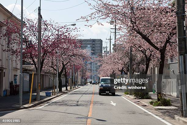 cherry blossom in japan - nagoya stock pictures, royalty-free photos & images