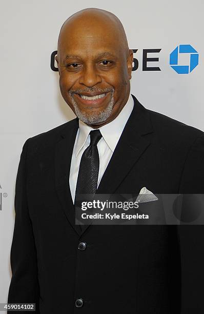 Actor James Pickens Jr attends the greater Los Angeles YWCA Rhapsody Ball at the Beverly Wilshire Four Seasons Hotel on November 14, 2014 in Beverly...