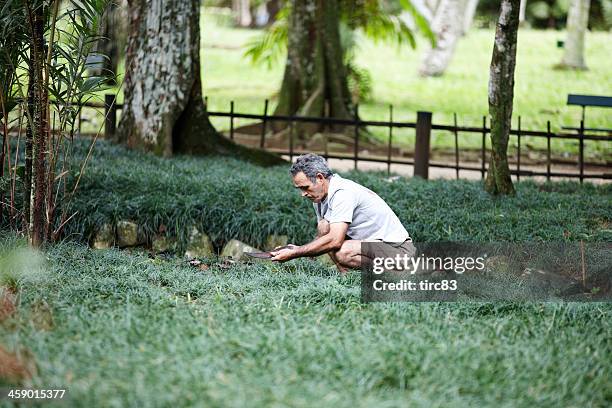 groundsman at work in rio park - sportveld onderhouder stockfoto's en -beelden