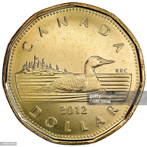 reverter a moeda de um dólar canadense - canadian currency - fotografias e filmes do acervo