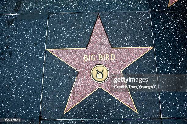 hollywood walk of fame star big bird - big bird sesame street stock pictures, royalty-free photos & images