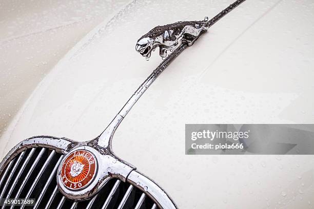 jaguar vintage classic car symbol close-up - old jaguar stock pictures, royalty-free photos & images