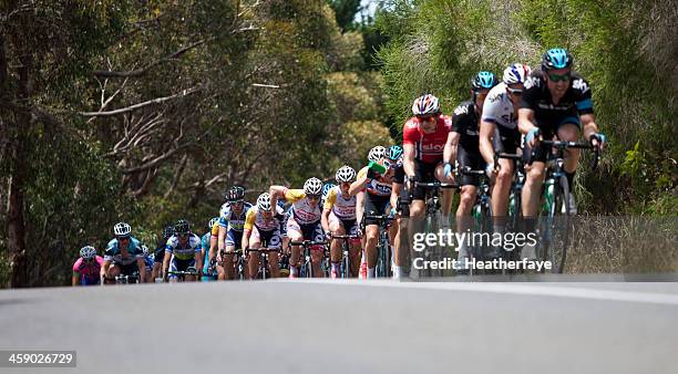 group of cyclists competing in a major race. - cycling team bildbanksfoton och bilder