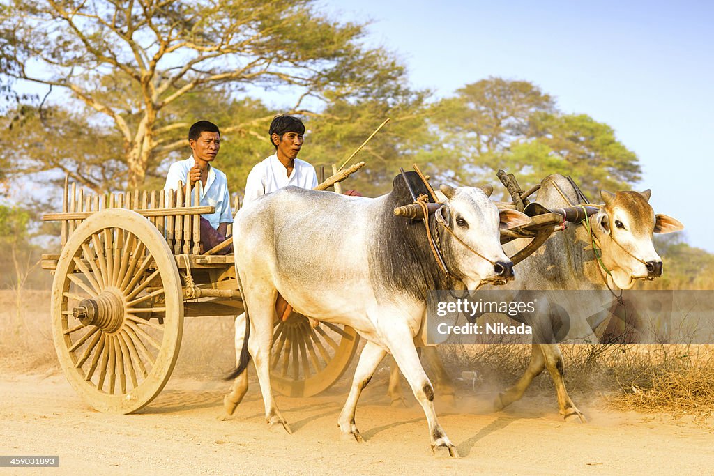 Myanmar vida quotidiana