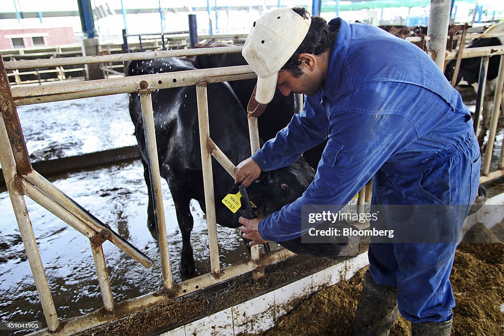 Inside Sapphire Dairies Production Facility As GDP Growth Expected To Continue