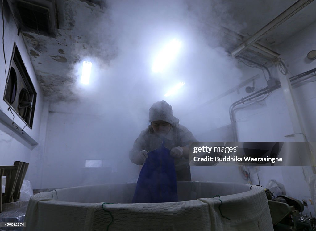 Sake Production Starts In Harima