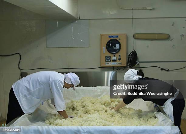 Misa Kawaisi , chief sake brew master and worker spread steamed rice on a table in a hot room where the rice is treated with a mold called 'koji' in...