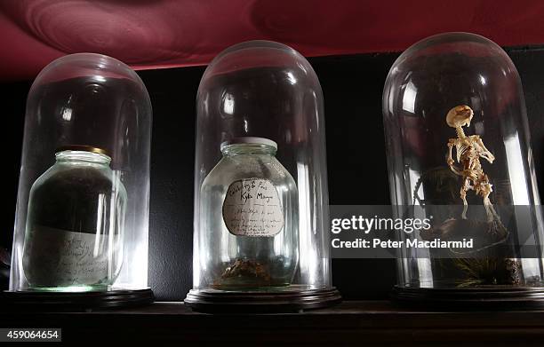 Bell jar bears a label that states it contains the poo of singer Kylie Minogue is displayed at The Viktor Wynd Museum of Curiosities, Fine Art &...