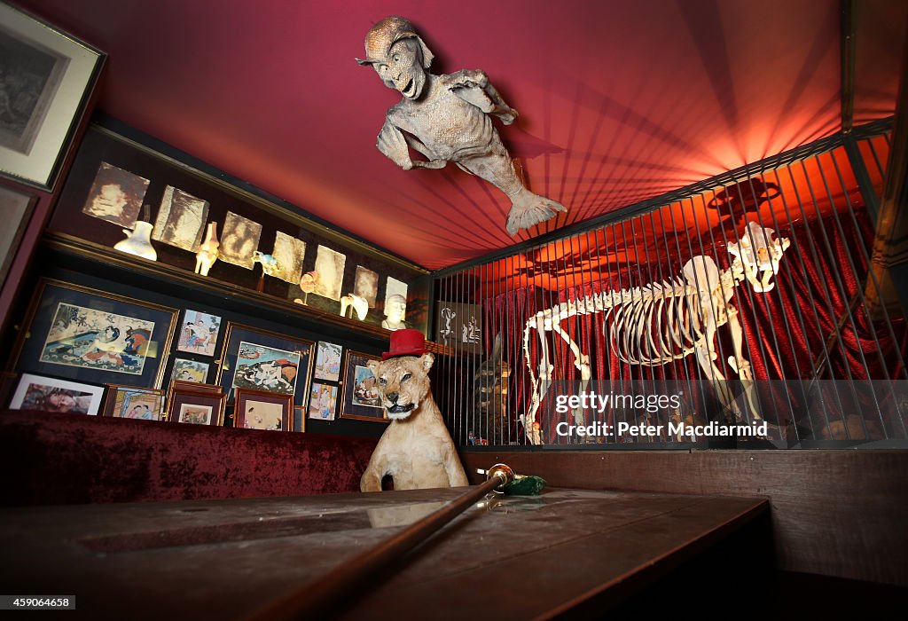 The Viktor Wynd Museum of Curiosities, Fine Art & Natural History