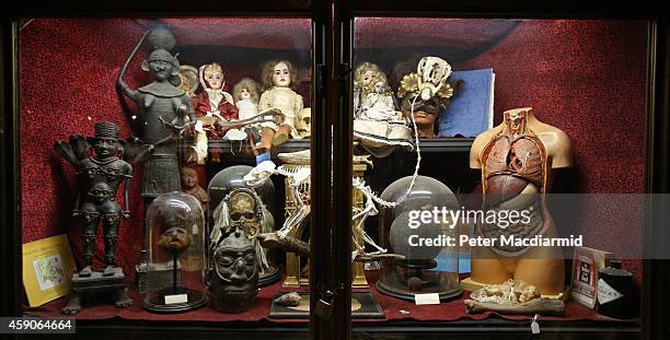 The Viktor Wynd Museum Of Curiosities Fine Art & Natural History Photos