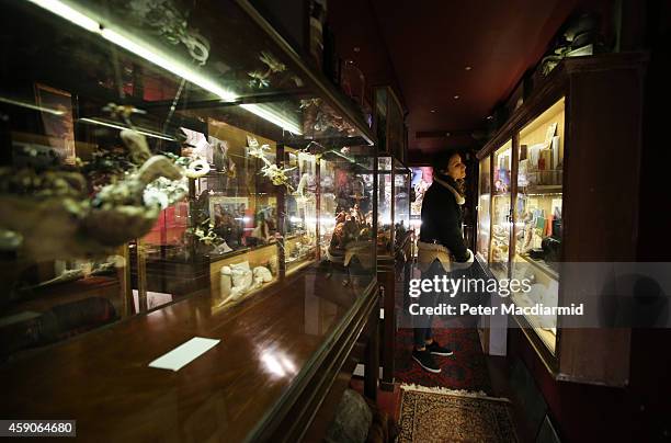 The Viktor Wynd Museum Of Curiosities Fine Art & Natural History Photos