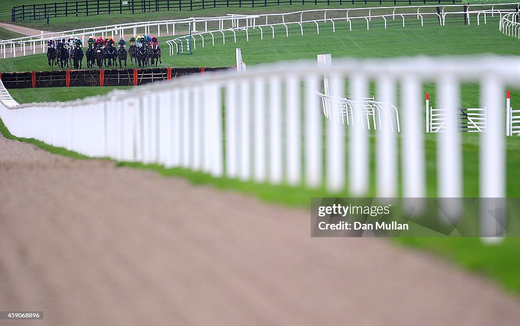 Cheltenham Races