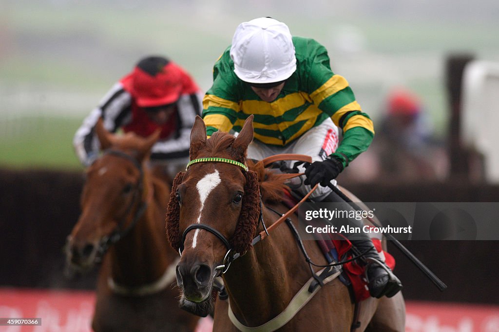 Cheltenham Races