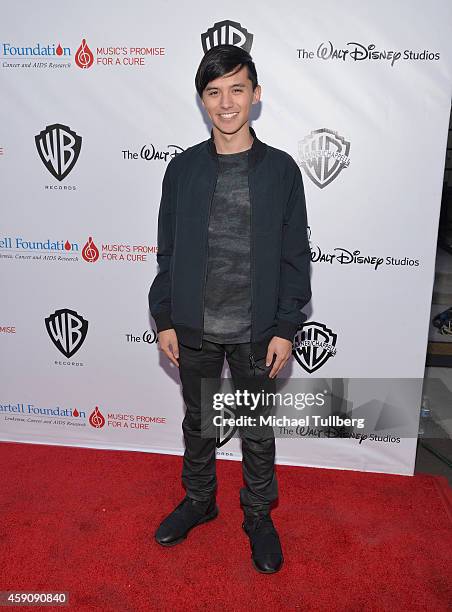 Producer Cole Plante attends the T.J. Martell Foundation's 6th Annual Family Day LA event at CBS Studios - Radford on November 16, 2014 in Studio...