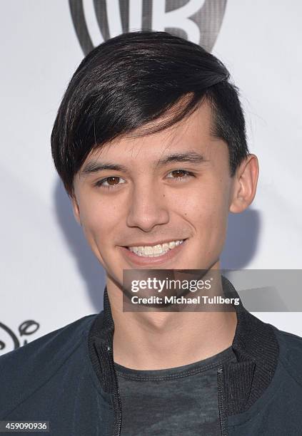 Producer Cole Plante attends the T.J. Martell Foundation's 6th Annual Family Day LA event at CBS Studios - Radford on November 16, 2014 in Studio...