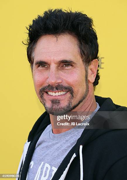 Don Diamont attends P.S. ARTS presents Express Yourself 2014 with sponsors OneWest Bank and Jaguar Land Rover at Barker Hangar on November 16, 2014...