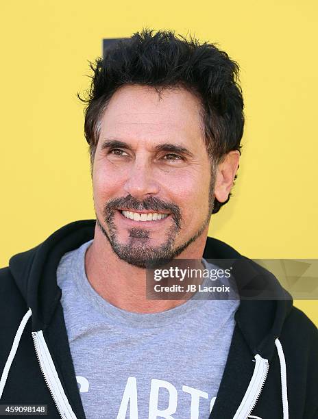 Don Diamont attends P.S. ARTS presents Express Yourself 2014 with sponsors OneWest Bank and Jaguar Land Rover at Barker Hangar on November 16, 2014...