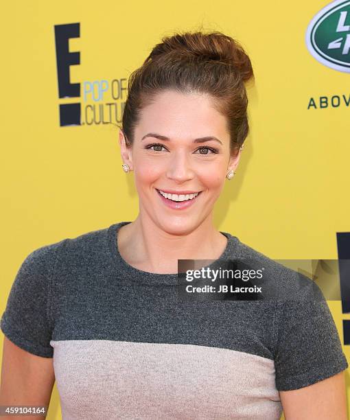 Amanda Righetti attends P.S. ARTS presents Express Yourself 2014 with sponsors OneWest Bank and Jaguar Land Rover at Barker Hangar on November 16,...