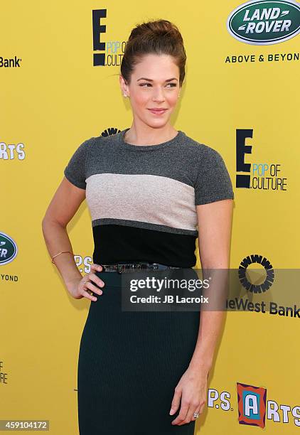 Amanda Righetti attends P.S. ARTS presents Express Yourself 2014 with sponsors OneWest Bank and Jaguar Land Rover at Barker Hangar on November 16,...