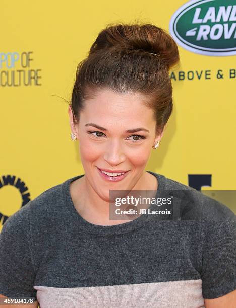 Amanda Righetti attends P.S. ARTS presents Express Yourself 2014 with sponsors OneWest Bank and Jaguar Land Rover at Barker Hangar on November 16,...