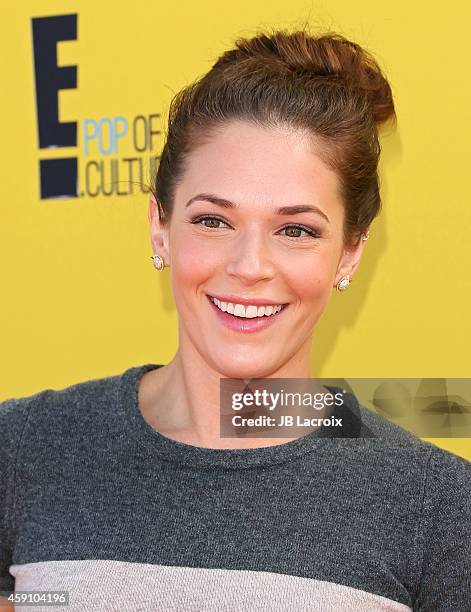 Amanda Righetti attends P.S. ARTS presents Express Yourself 2014 with sponsors OneWest Bank and Jaguar Land Rover at Barker Hangar on November 16,...