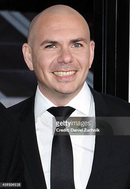 Pitbull attends the "Penguins of Madagascar" New York Premiere at Winter Village at Bryant Park Ice Rink on November 16, 2014 in New York City.
