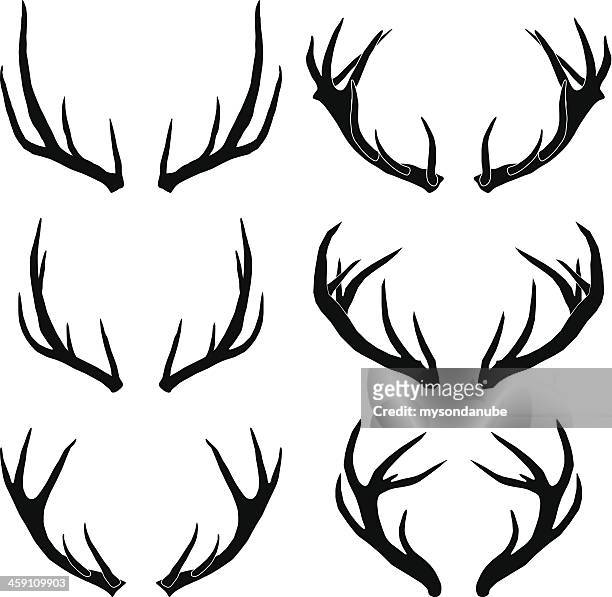 ilustraciones, imágenes clip art, dibujos animados e iconos de stock de vector deer antlers colección - asta