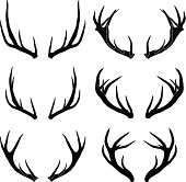 vector deer antlers collection