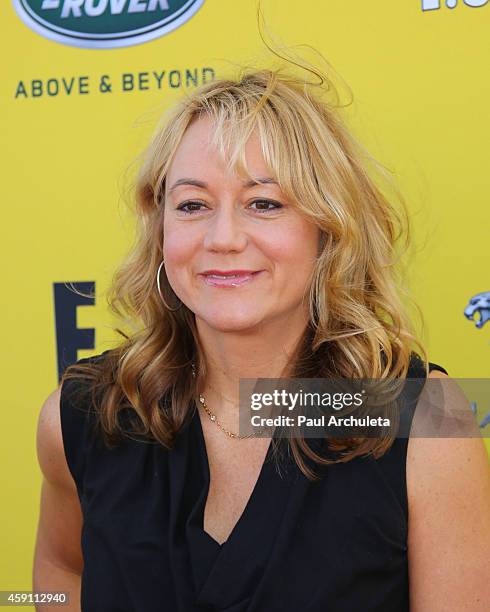 Actress Megyn Price attends the P.S. ARTS Express Yourself 2014 at Barker Hanger on November 16, 2014 in Santa Monica, California.