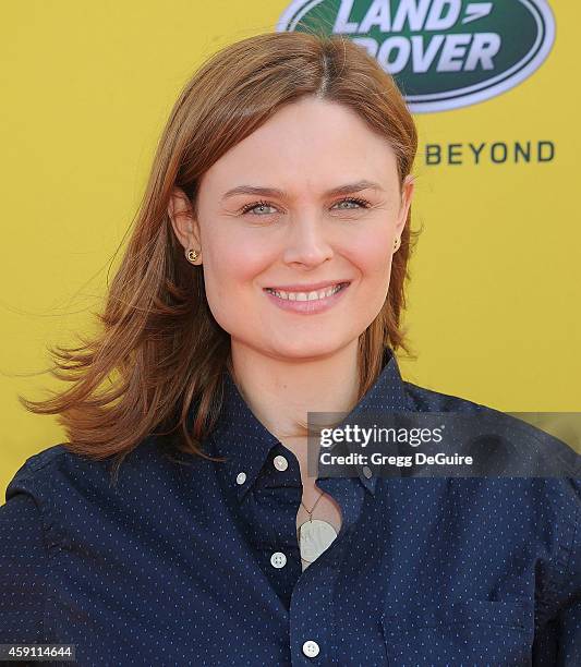 Actress Emily Deschanel arrives at the P.S. ARTS Express Yourself 2014 at The Barker Hanger on November 16, 2014 in Santa Monica, California.