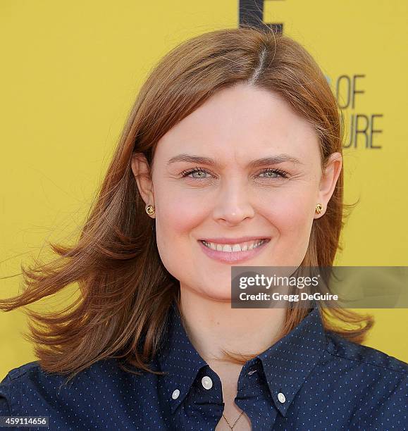 Actress Emily Deschanel arrives at the P.S. ARTS Express Yourself 2014 at The Barker Hanger on November 16, 2014 in Santa Monica, California.