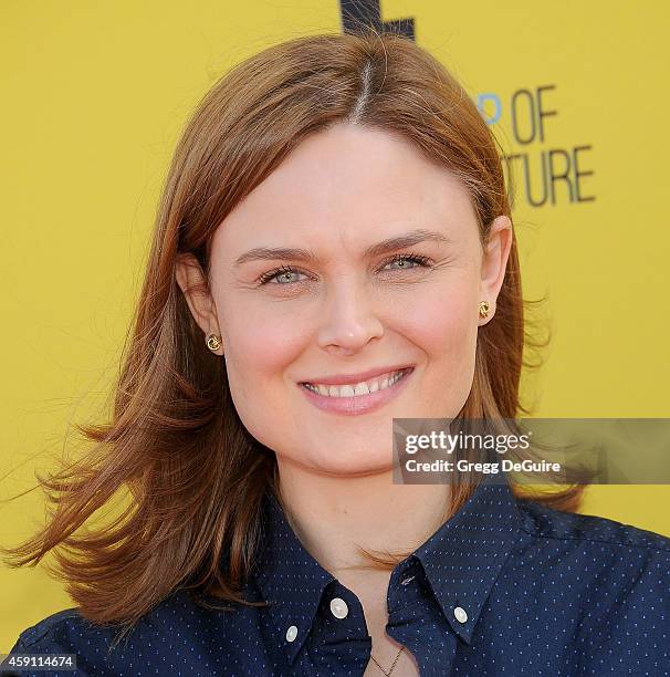 Actress Emily Deschanel arrives at the P.S. ARTS Express Yourself 2014 at The Barker Hanger on November 16, 2014 in Santa Monica, California.