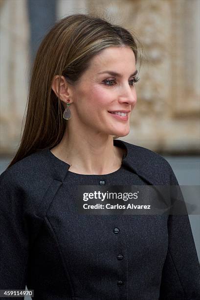 Queen Letizia of Spain attends the 2013 Velazquez Plastic Arts award at the El Prado Museum on November 17, 2014 in Madrid, Spain.