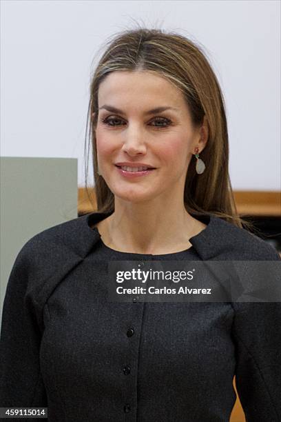 Queen Letizia of Spain attends the 2013 Velazquez Plastic Arts award at the El Prado Museum on November 17, 2014 in Madrid, Spain.