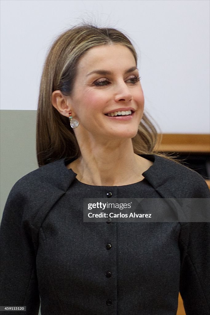 Queen Letizia Attends the 2013 Velazquez Plastic Arts Awards