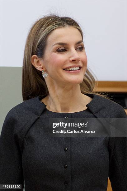 Queen Letizia of Spain attends the 2013 Velazquez Plastic Arts award at the El Prado Museum on November 17, 2014 in Madrid, Spain.