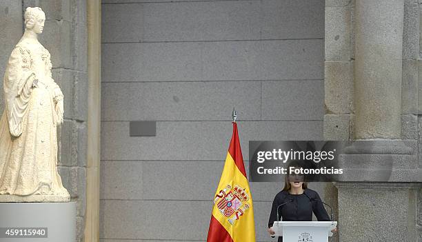 Queen Letizia of Spain attends the 2013 Velazquez Plastic Arts Awards ceremony at El Prado Museum on November 17, 2014 in Madrid, Spain.