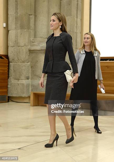 Queen Letizia of Spain attends the 2013 Velazquez Plastic Arts Awards ceremony at El Prado Museum on November 17, 2014 in Madrid, Spain.