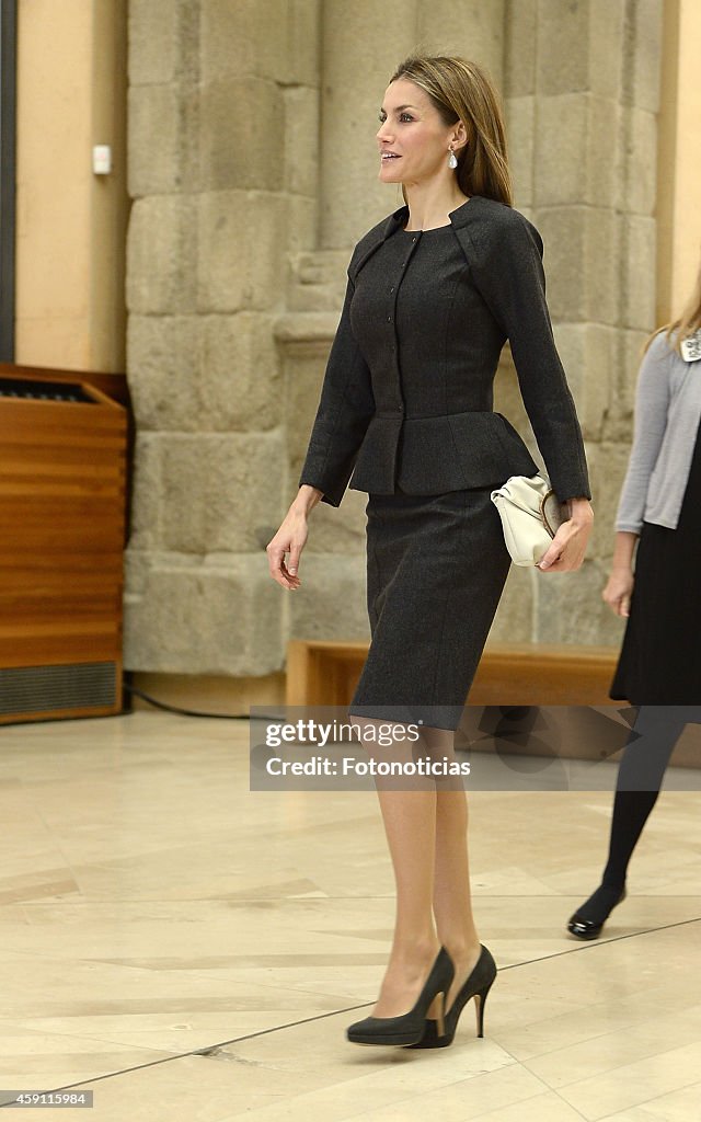 Queen Letizia Attends the 2013 Velazquez Plastic Arts Awards