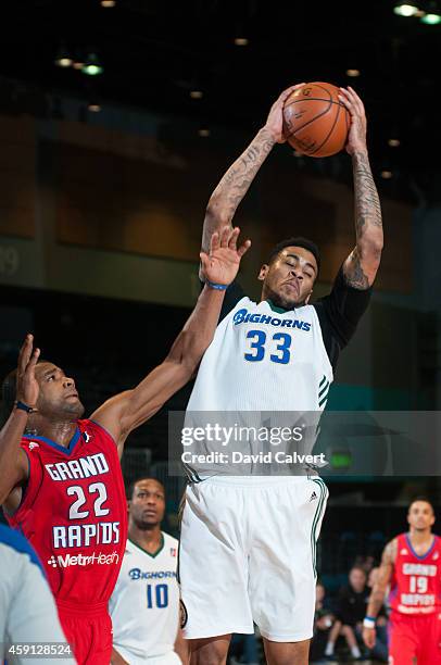 Eric Moreland of the Reno Bighorns rebounds the ball over Josh Bostic of the Grand Rapids Drive on November 16, 2014 at the Reno Events Center in...