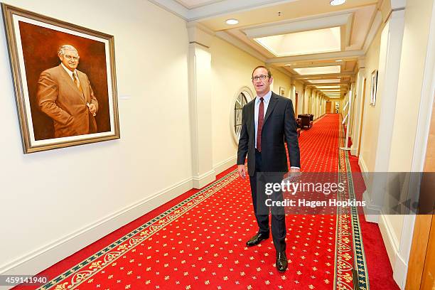 Newly appointed Labour leader Andrew Little poses after a press conference at Parliament House on November 18, 2014 in Wellington, New Zealand. The...