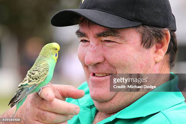 Craig Parry poses with a Budgie that flew in near the practice green ahead of the 2014 Australian Masters at The Metropolitan Golf Course on November...