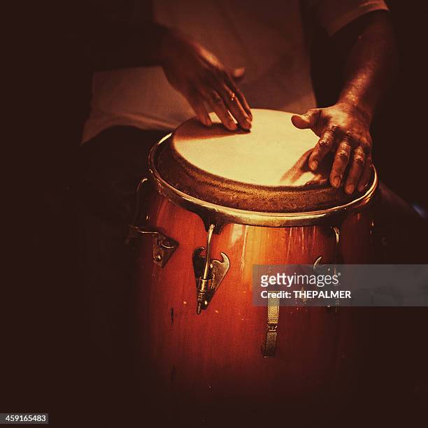 playing congas - conga stock pictures, royalty-free photos & images
