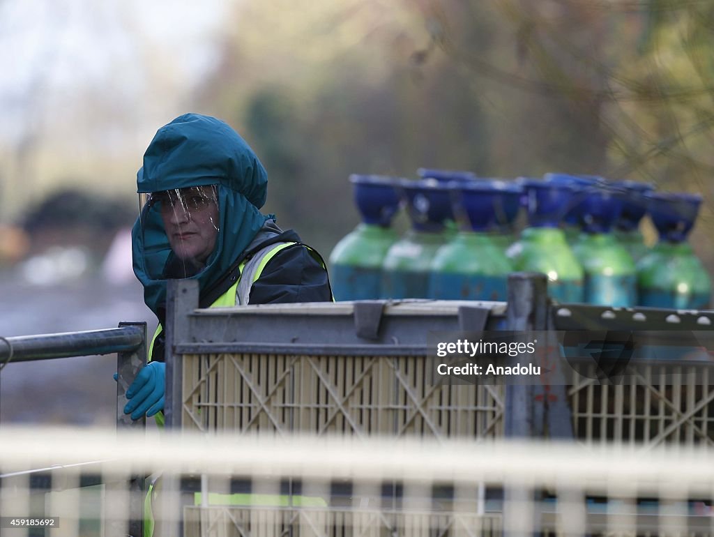 Bird flu outbreak in the UK